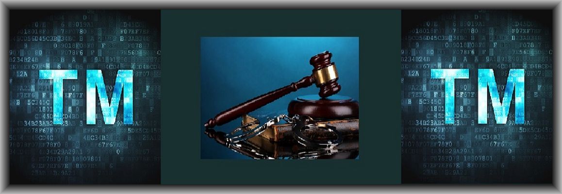 litigation-page
